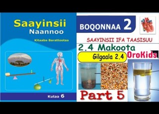 Saayinsii Naannoo Kutaa 6ffaa Boqonnaa 2 Part 5