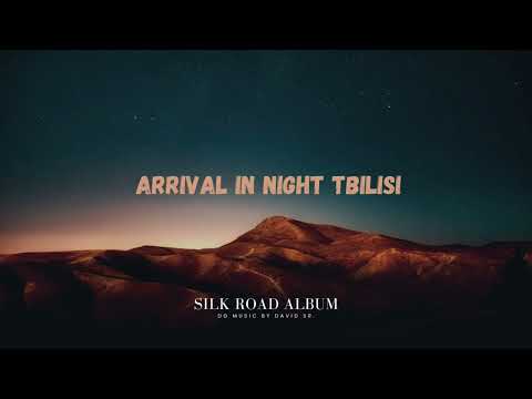 Arrival In Night Tbilisi