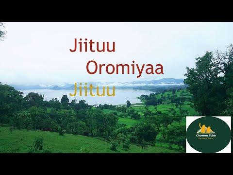 Jiituu Oromiyaa Jiituu