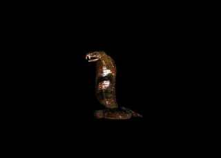  SNAKE Cobra 3d Hologram Video Black Background VFX Free To Use