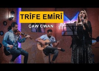 Trîfe Emîrî Çaw Cwan Kurdmax Acoustic
