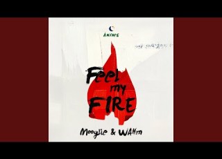 Feel My Fire Radio Edit