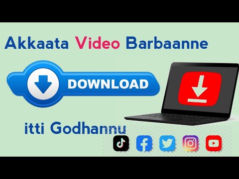 Video Barbaanne Haaluma Salphaan Download Gochuu Download Any Video From Everywhere