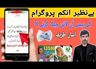 How To Check Benazir Income Support Program Money Benazir Income Program Ka Paise Check