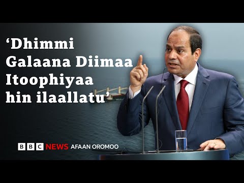 Pirezidantiin Ertiraa Masriitti Waa Ee Itoophiyaa Maal Mari Atan BBC News Afaan Oromoo