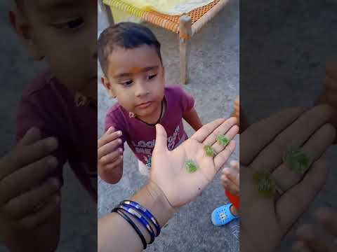 Yammi Gummy Bear Gummybear Yammii Shortvideo