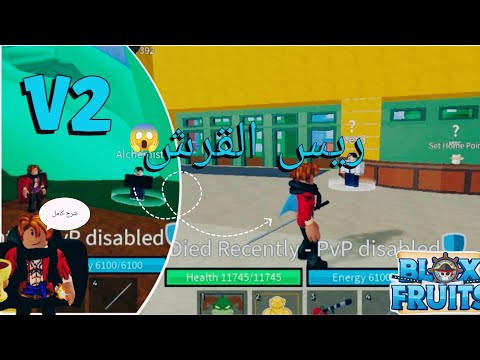الطريق الى الإحتراف طورت ريس القرش V2 شرح كامل 2 Blox Fruit