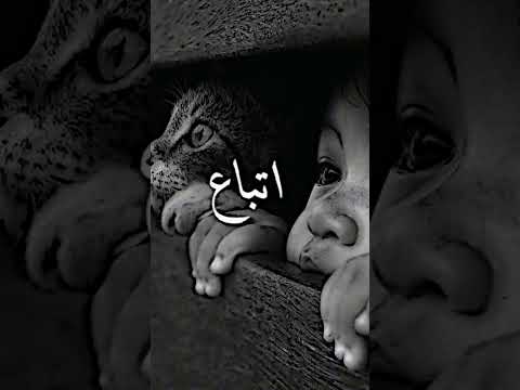 ديدين كانون 16 في اوطاني الحزن شديد تركوني اعاني وحيد ديدين كانون 16 في اوطاني الحزن شديد تركوني اعاني وحيد