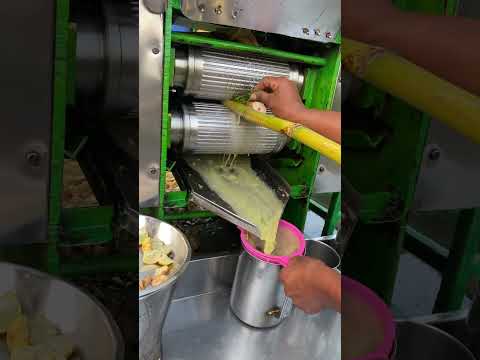 Pure Authentic Lemon Sugarcane Juice Machine Pure Lemon Sugarcane Juice Shorts Uk Usa