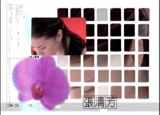  張清芳 不想你也難 豐華唱片official 官方完整版MV
