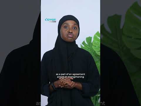 Somalia Dementiert Geheime Abkommen Mit Schweden Somalia