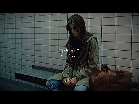 Alshami Yalli Dar Slowed يلي دار بطيء