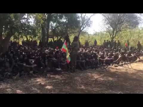 Jaal Marroo Dirribaa Dubbii Ajaa Ibaa Dubbate