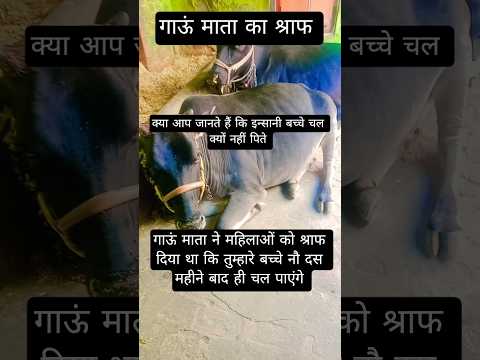 मह ल ए ध य न द Motivation Yashomatimaiyasebolenandlala Refugiomental6032 Riel15new34