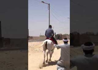 خيال المنيا