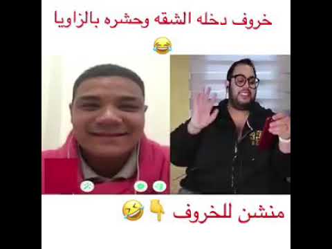 خرفنة مصري و جابه للبيت