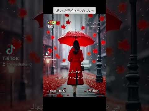 حب مش محسوب عليا زيزي عادل