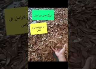 مروكي دبل سوبر السعر ٣١٠دولار