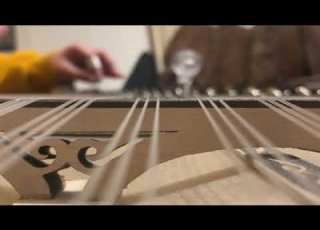  اهو ده اللي صار عزف قانون لجين سرحان