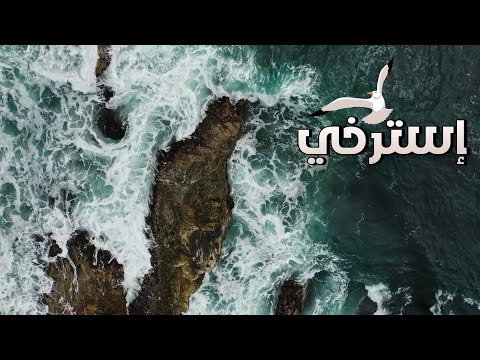 صوت البحر و النورس وقت غروب الشمس للاسترخاء والتامل بدون موسيقى