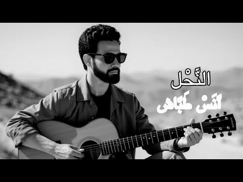 النحل انس طباش Anas Tabash Official Video 2025