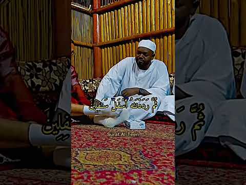 Qari Noreen Muhammad Sadiq Telawat Telawat E Quran Viralshort Foryoushorts Islamicstatus Viral