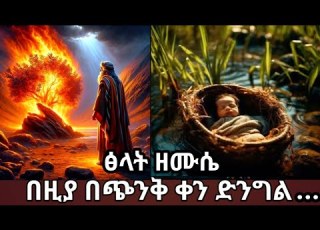 Orthodox Mezmur ፅላት ዘሙሴ የሙሴ ፊልም በመዝሙር AI Film Musse