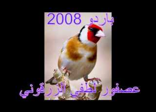  باردو 2008