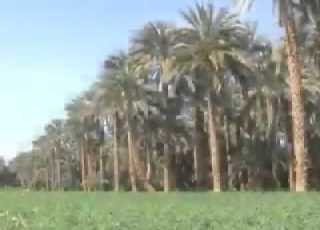 طالعه منك
