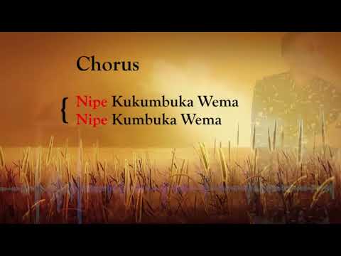 NIPE Video Lyrics Goodluck Gozbert