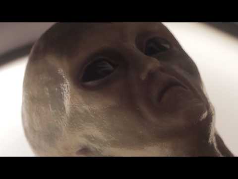 Top Alien And UFO Encounters In History