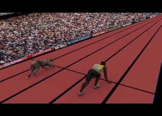  Speed Comparison Average Person VS Usain Bolt Cheetah