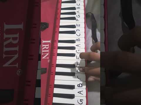 Piano 3231