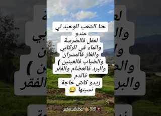 هادي مليحة حاجة كاش زيدوها نكات جزائرية