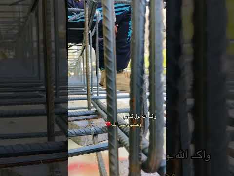 شباب شلون الحر وياكم البصرة