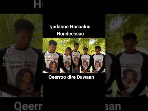 Yadaano Hacaaluu Hundeessaa Magaalaa Dire Dawaan