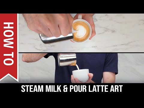 How To Beginner S Guide To Steam Milk And Pour Latte Art