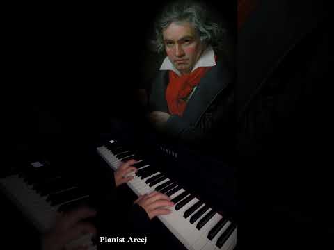 موسيقى عزف بيانو من أشهر اغاني بيتهوفن Piano بيانو Beethoven عزف بيانو