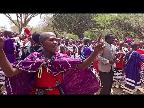 Da Shamrashamra Jionee