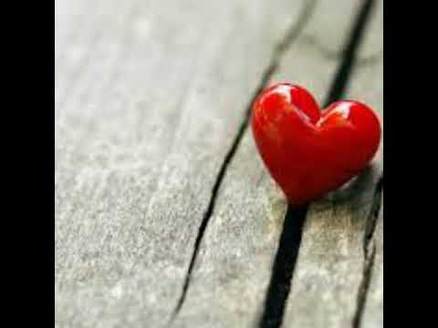 Kamal Gulchin Bgarewa Bert Dakam 2017