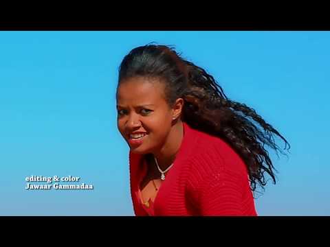 Diinaraas Tsaggayee Finfinee Dachee Keenyaa New Ethiopian Oromo Music 2019 Official Video