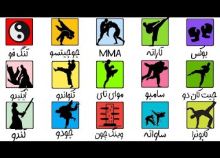 همه ی ورزش های رزمی در ۵ دقیقه پارت یک