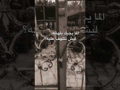 اللي مايجيك بلفهة ليش تتلهف عليه العراق