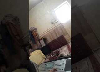 جیجه
