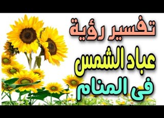 تفسير رؤية عباد الشمس فى المنام ما معنى رؤية دوار الشمس فى المنام