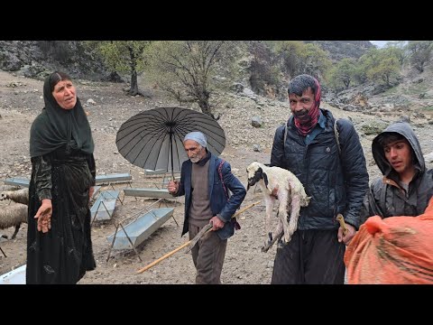 The Onset Of Severe Storms And The Family S Struggle With This Problem