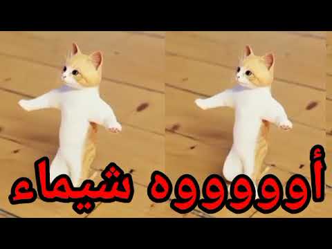 اغنية باسم شيماء عيد ميلاد شيماء اول تعليق السعودية الكويت العراق تركيا لجزائر قطر دبي جده الرياض