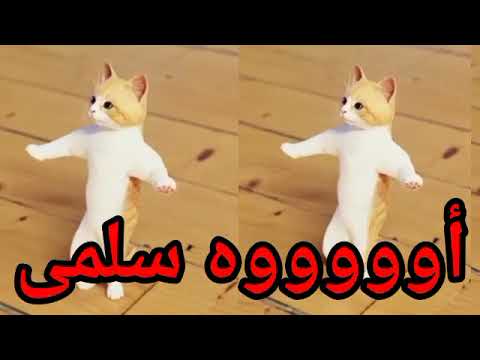 اغنية باسم سلمى الحلوة عيد ميلاد سلمى اول تعليق السعودية الكويت تركيا العراق الجزائر دبي جده الرياض