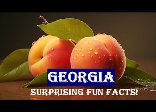 16 Surprising Fun Facts Of Georgia You Did Not Know US History