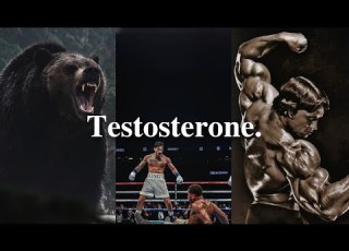 Testosterone Forged In Pain Born To Dominate